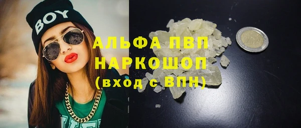 СК Абинск