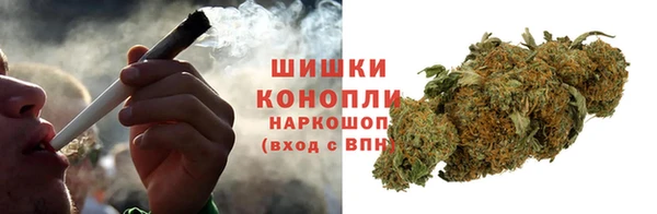 индика Алзамай