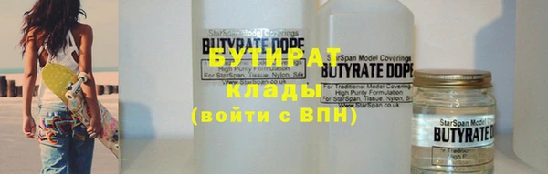 индика Алзамай