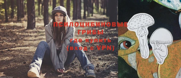 ALPHA PVP Алексин