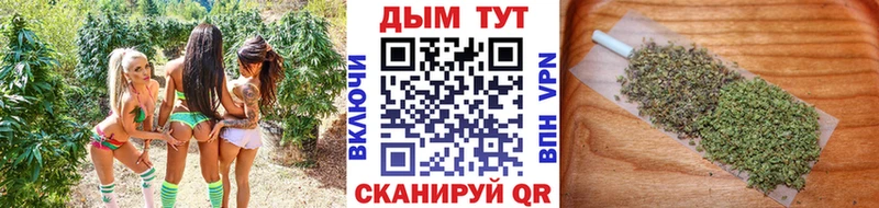 блэк спрут ссылка  Копейск  Канабис сатива 